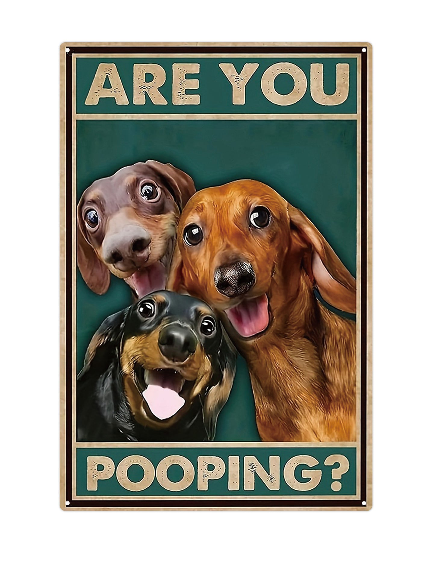 Are you pooping? - Metal wall sign