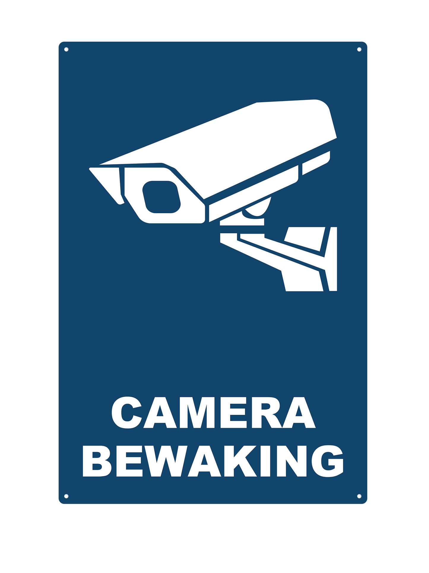 Camera Surveillance #1