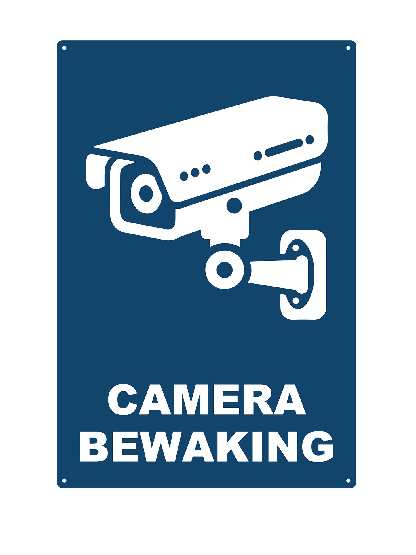 Camera Surveillance #2
