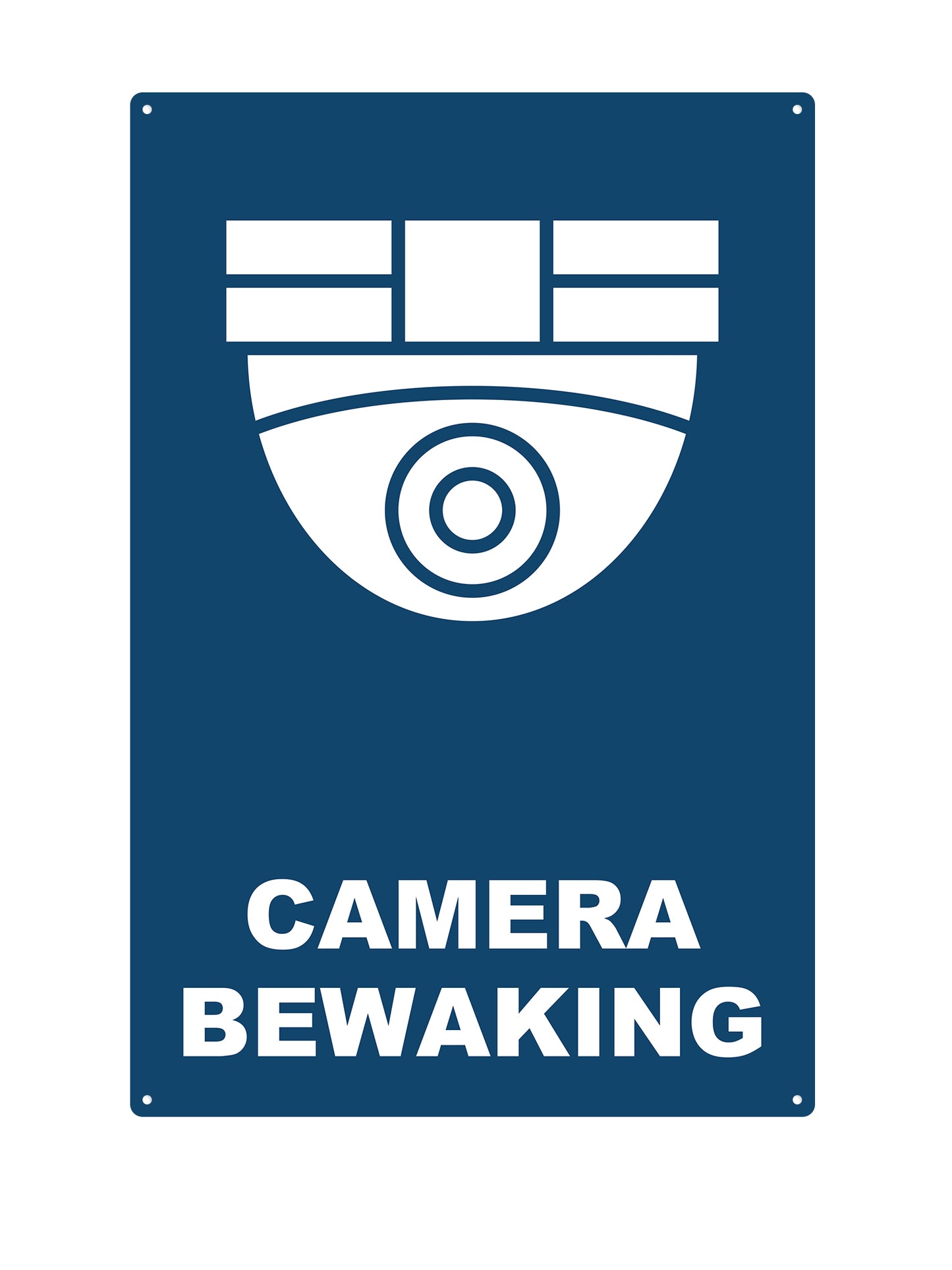 Camera Surveillance #3