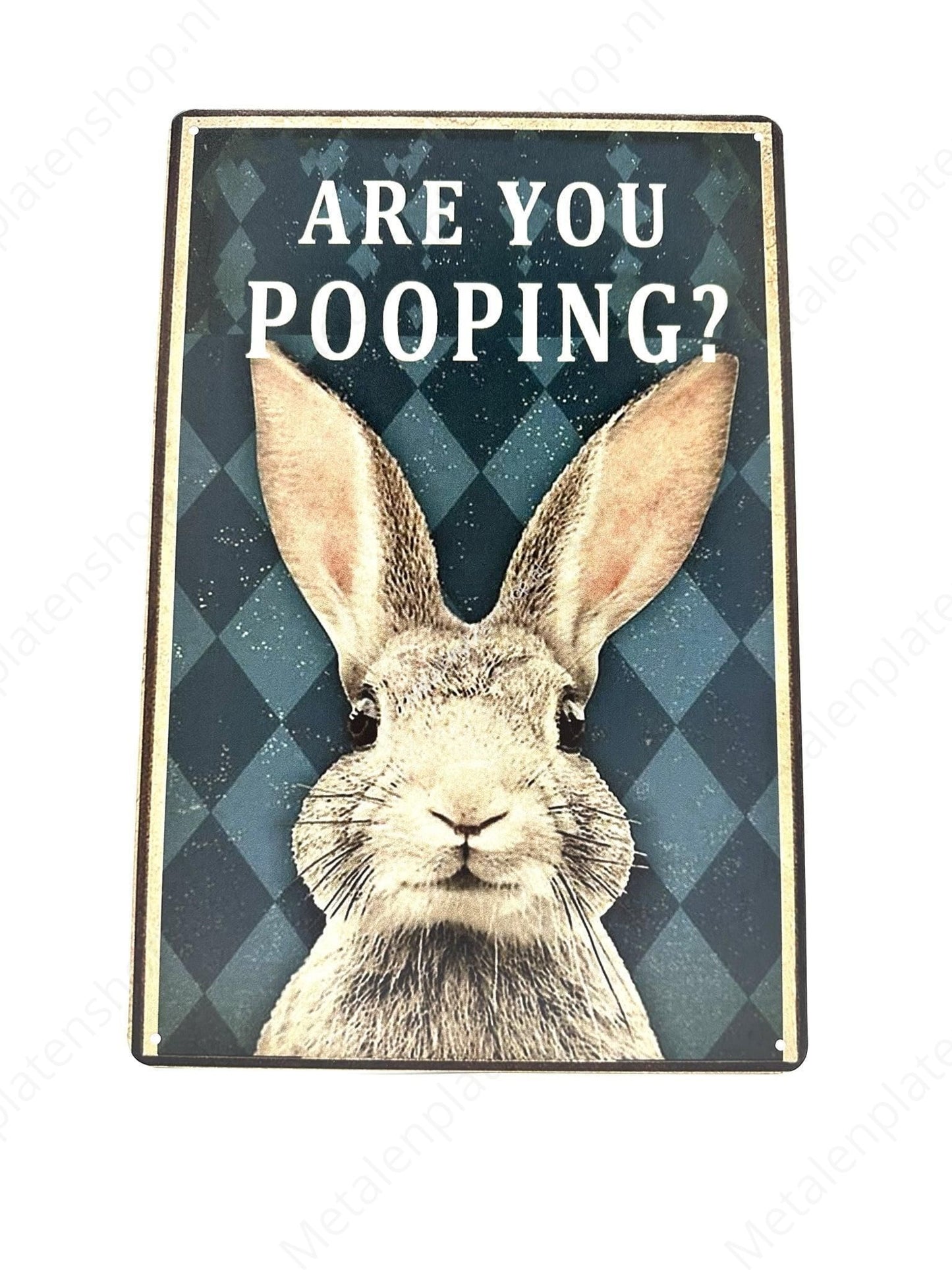 Are you pooping - Rabbit