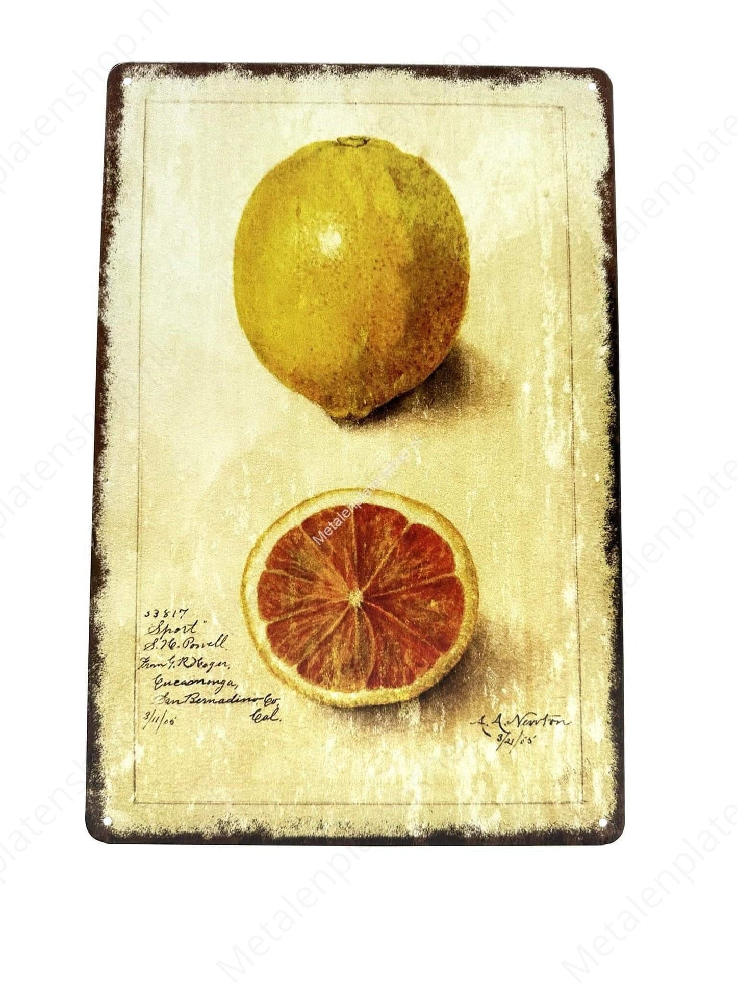 Lemon