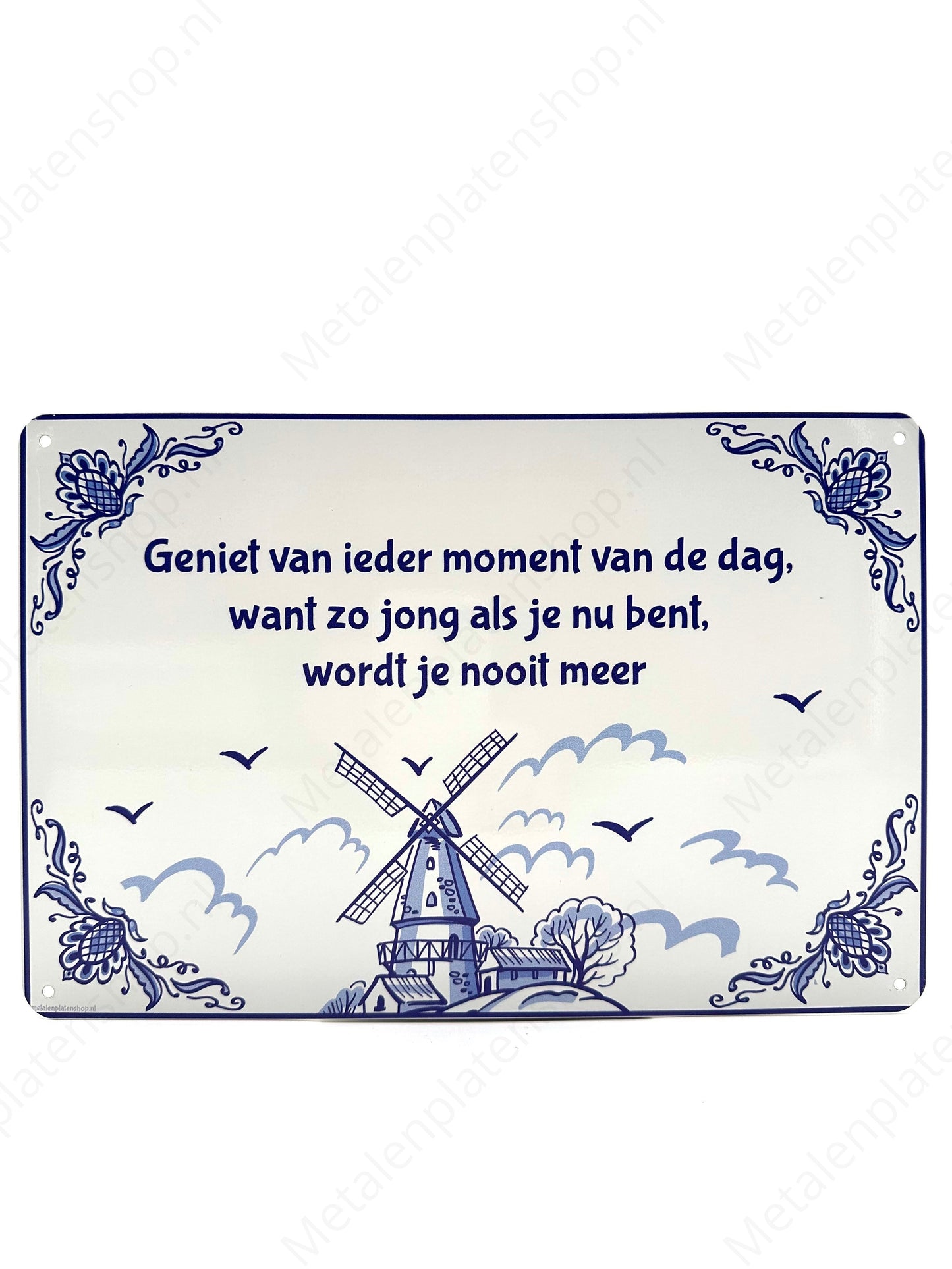 Enjoy every moment of the day, because you will never be as young as you are now.