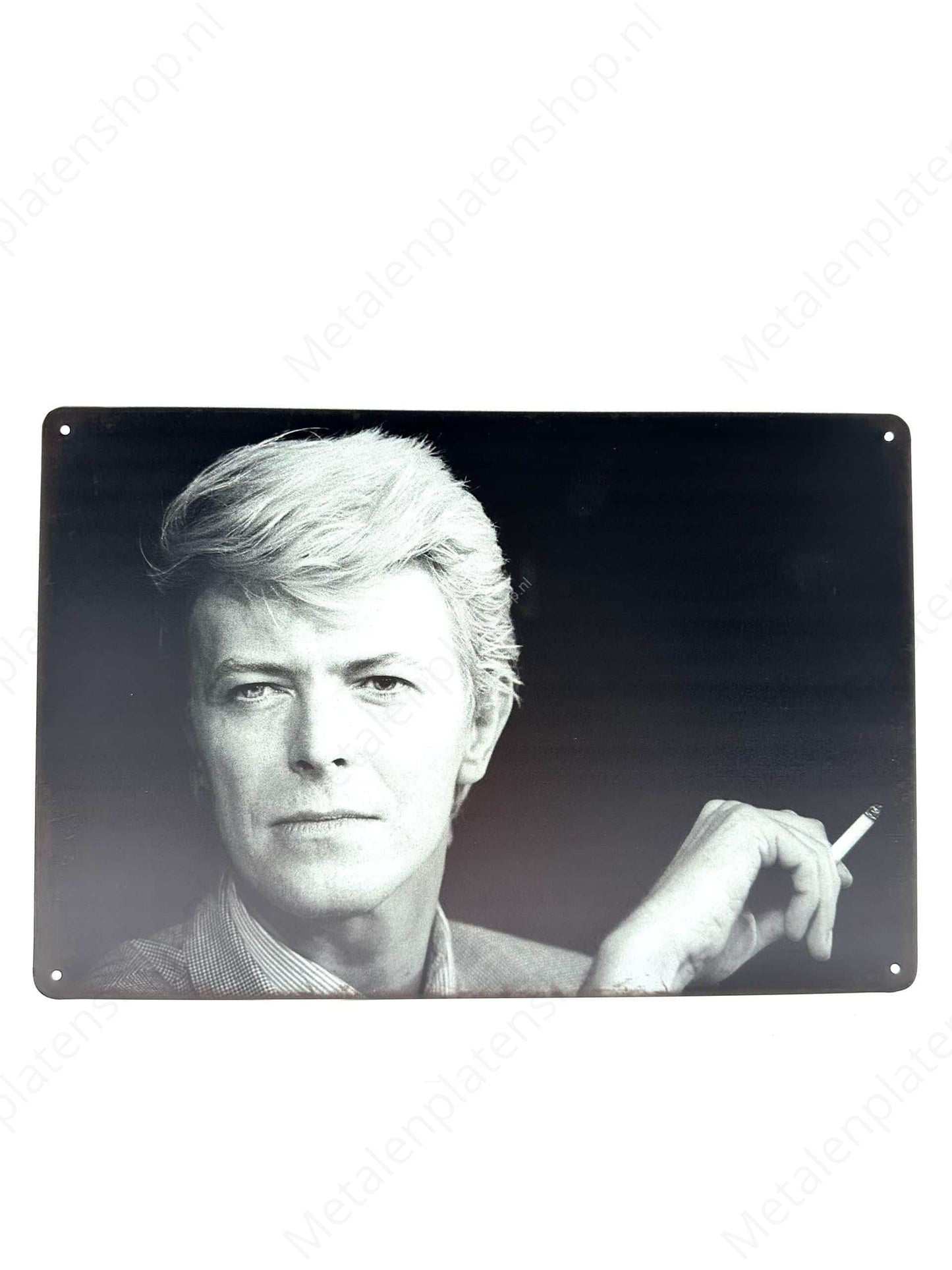 Metallwandschild - David Bowie - Metallwandschild