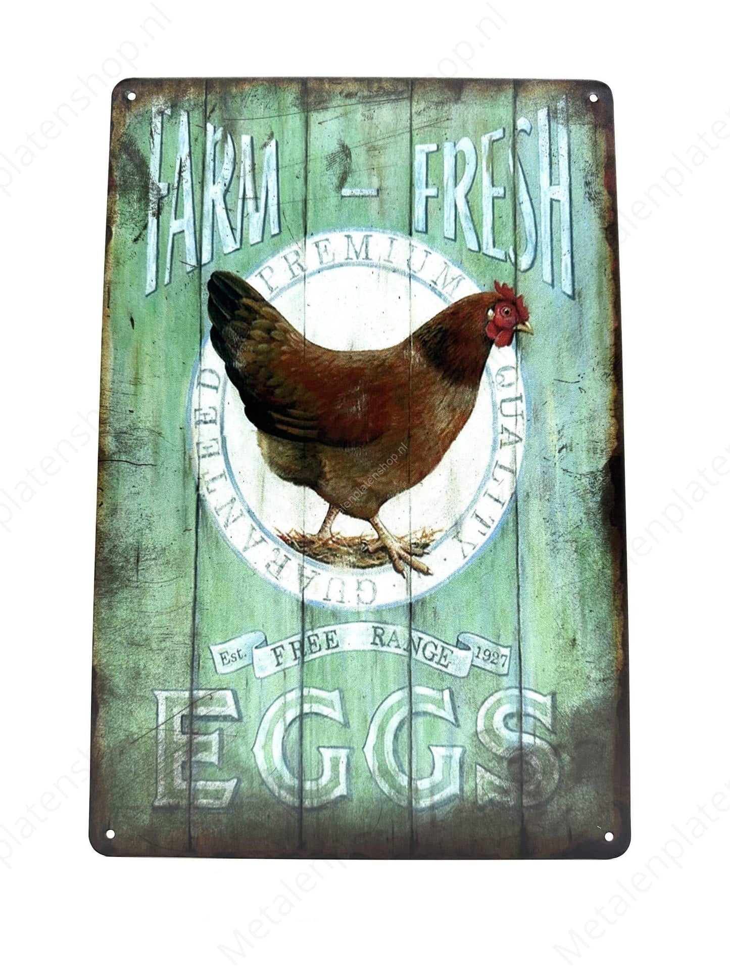 Welcome - Chicken