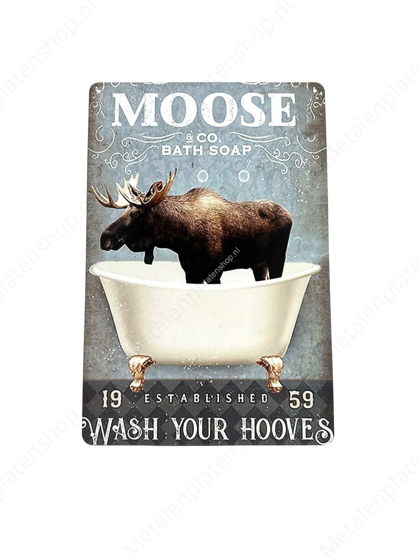 Moose in the bath