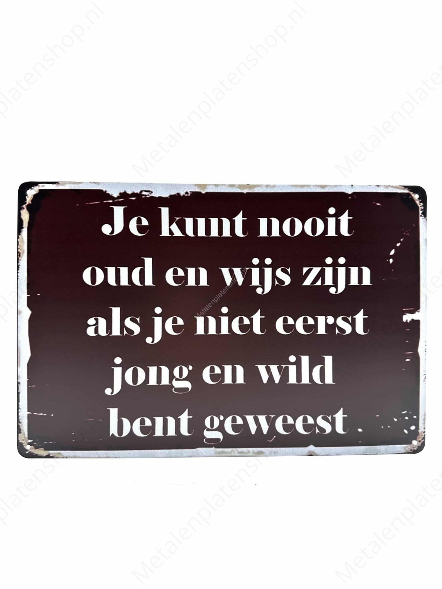 Du kannst nie alt und weise sein, wenn du nicht zuerst jung und wild warst - Blechschild